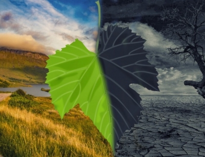 Inviernos más duros, tormentas más fuertes: nuevos datos revelan que el cambio climático podría ser más rápido de lo previsto